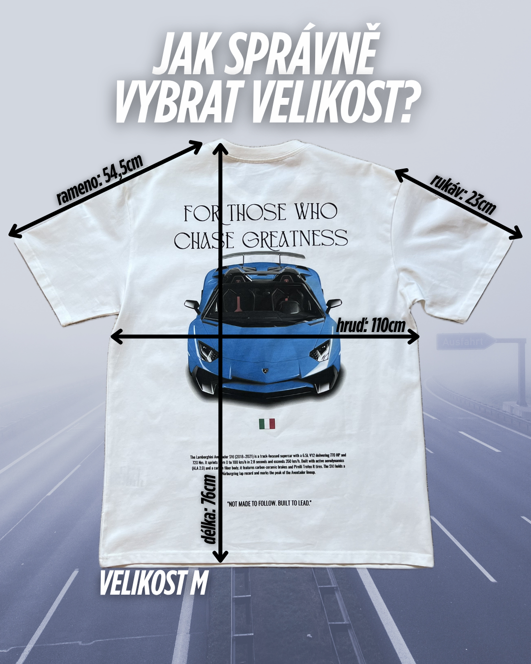 SVJ Oversized Tee